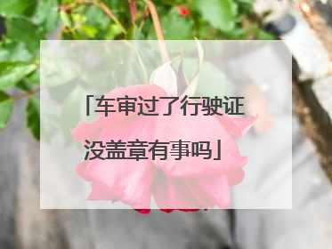 车审过了行驶证没盖章有事吗