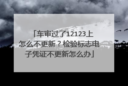 车审过了12123上怎么不更新？检验标志电子凭证不更新怎么办