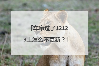 车审过了12123上怎么不更新？