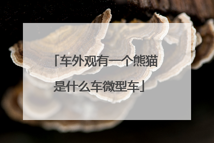 车外观有一个熊猫是什么车微型车