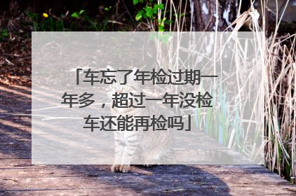 车忘了年检过期一年多，超过一年没检车还能再检吗