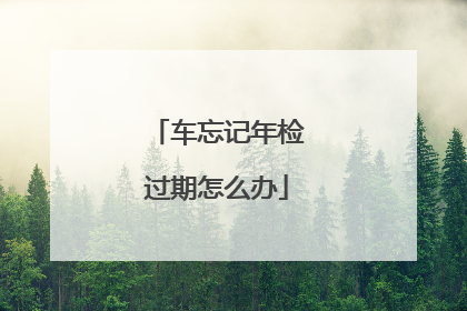 车忘记年检过期怎么办