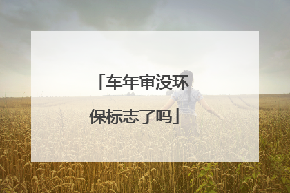 车年审没环保标志了吗