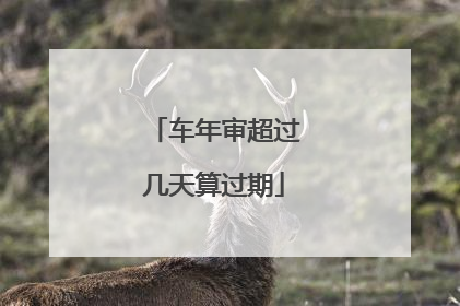 车年审超过几天算过期