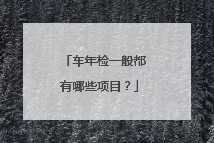 车年检一般都有哪些项目？