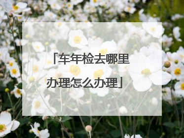 车年检去哪里办理怎么办理