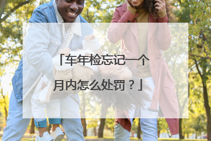 车年检忘记一个月内怎么处罚？
