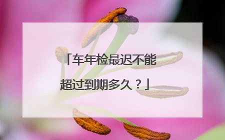 车年检最迟不能超过到期多久？