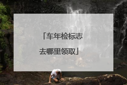车年检标志去哪里领取