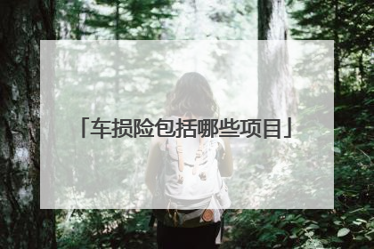 车损险包括哪些项目