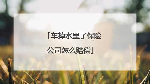 车掉水里了保险公司怎么赔偿