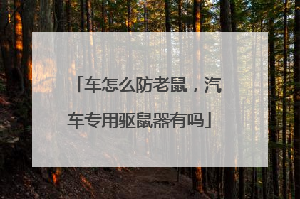 车怎么防老鼠，汽车专用驱鼠器有吗