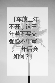 车放三年不开，这三年若不买交强险不年审，三年后会如何？