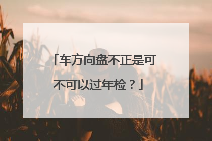 车方向盘不正是可不可以过年检？