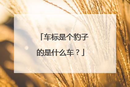 车标是个豹子的是什么车？