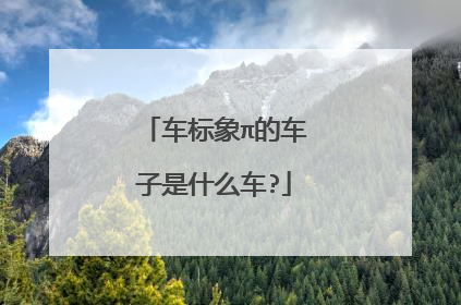 车标象π的车子是什么车?