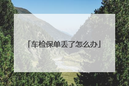 车检保单丢了怎么办