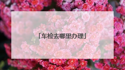 车检去哪里办理