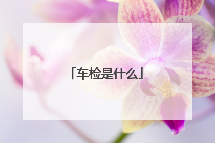 车检是什么