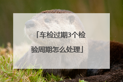车检过期3个检验周期怎么处理
