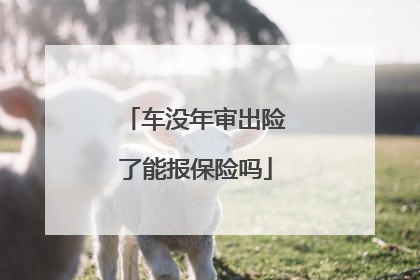车没年审出险了能报保险吗