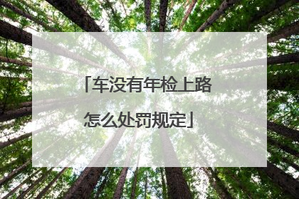 车没有年检上路怎么处罚规定