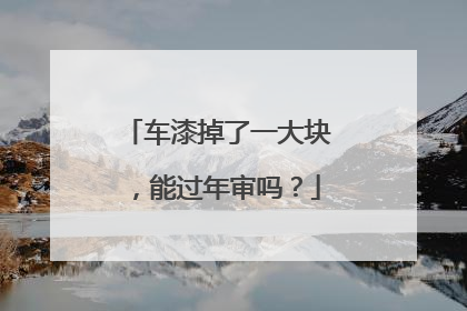 车漆掉了一大块，能过年审吗？