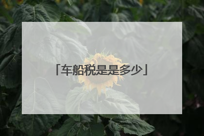 车船税是是多少