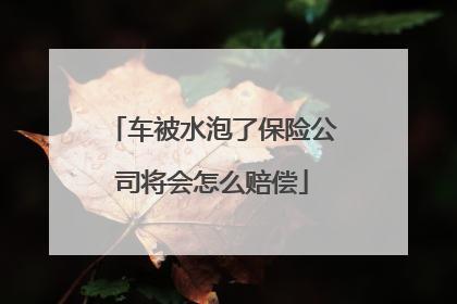 车被水泡了保险公司将会怎么赔偿