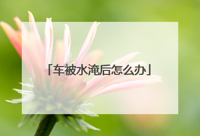 车被水淹后怎么办