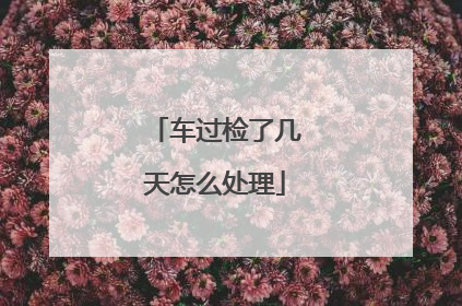 车过检了几天怎么处理