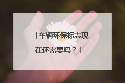 车辆环保标志现在还需要吗？