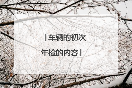 车辆的初次年检的内容