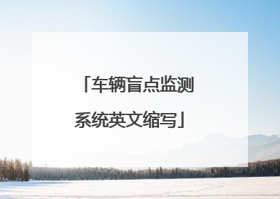 车辆盲点监测系统英文缩写