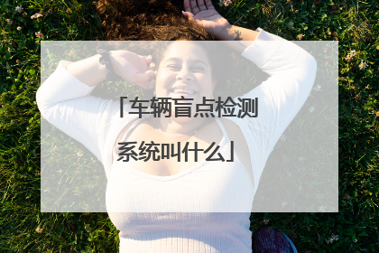 车辆盲点检测系统叫什么