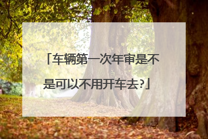 车辆第一次年审是不是可以不用开车去?