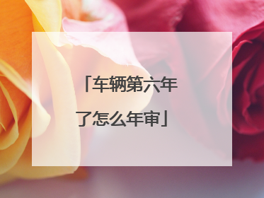 车辆第六年了怎么年审