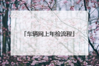 车辆网上年检流程