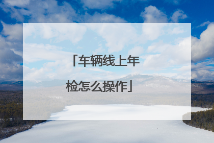 车辆线上年检怎么操作