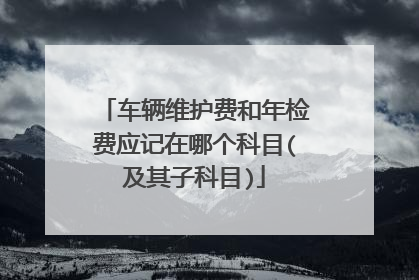 车辆维护费和年检费应记在哪个科目(及其子科目)