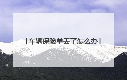 车辆保险单丢了怎么办