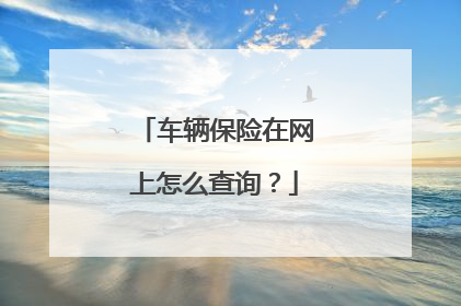车辆保险在网上怎么查询？