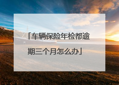 车辆保险年检都逾期三个月怎么办