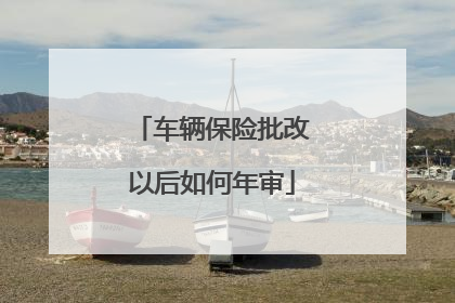 车辆保险批改以后如何年审