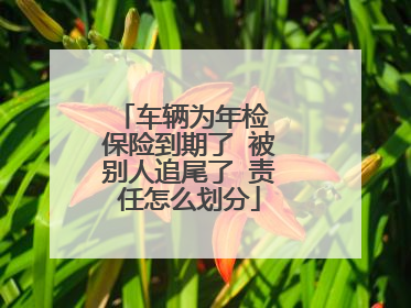 车辆为年检 保险到期了 被别人追尾了 责任怎么划分