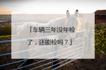 车辆三年没年检了，还能检吗？