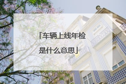 车辆上线年检是什么意思