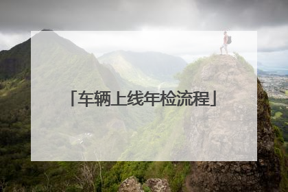 车辆上线年检流程