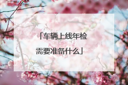 车辆上线年检需要准备什么