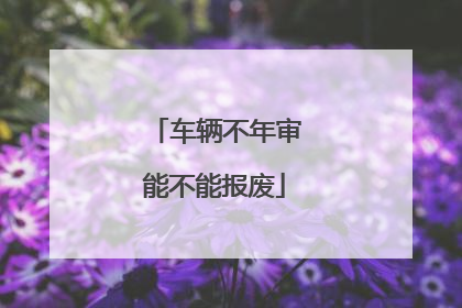 车辆不年审能不能报废